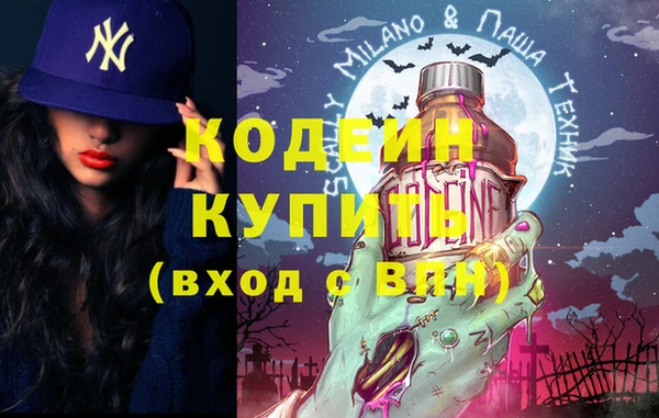 мдпв Бородино