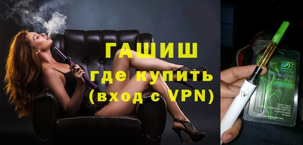 мдпв Бородино