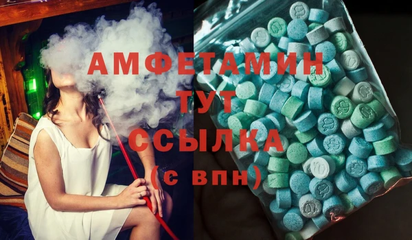 мдпв Бородино