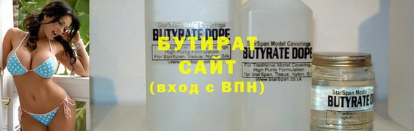 мдпв Бородино