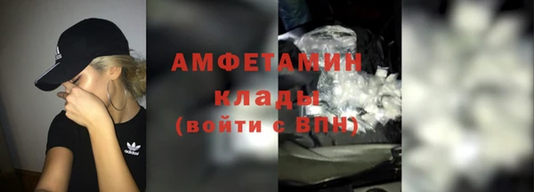 мдпв Бородино