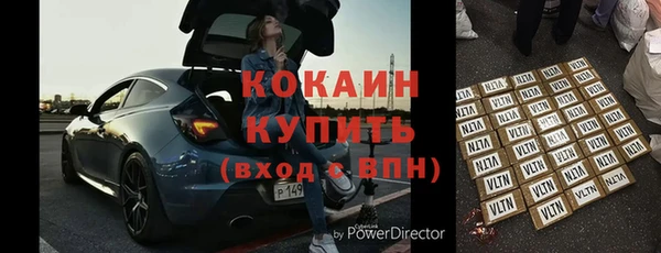 мдпв Бородино